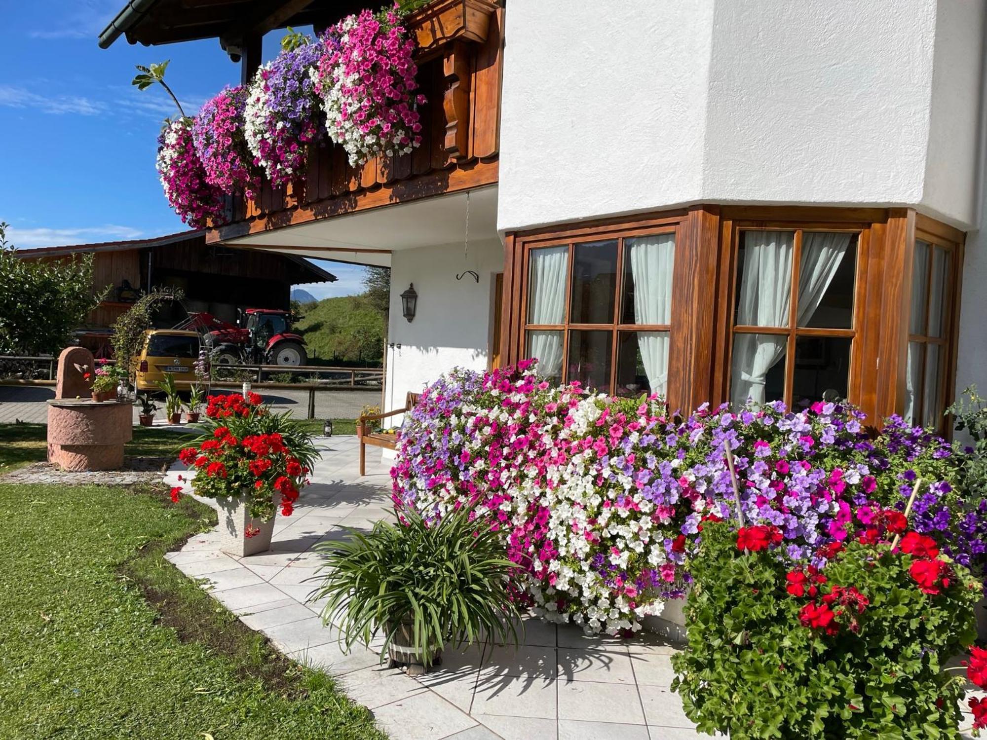 Gaestehaus Seeklause Schwangau Esterno foto