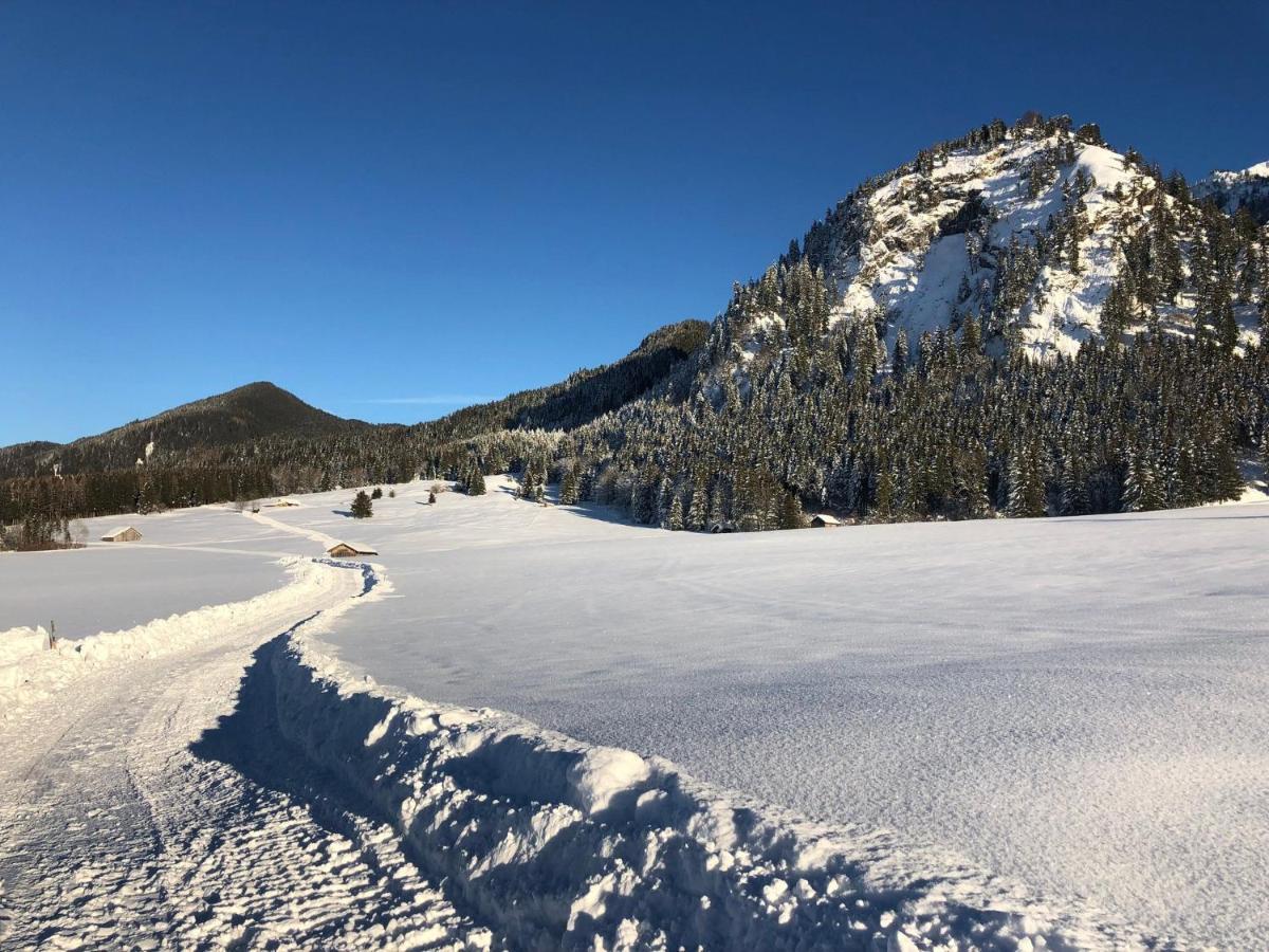 Gaestehaus Seeklause Schwangau Esterno foto
